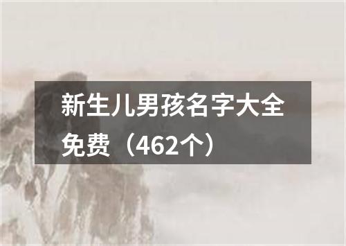 新生儿男孩名字大全免费（462个）