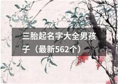 三胎起名字大全男孩子（最新562个）