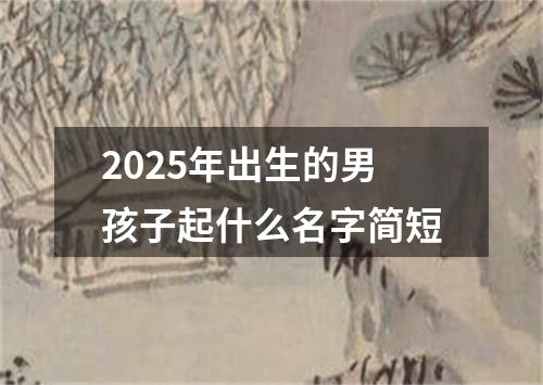 2025年出生的男孩子起什么名字简短