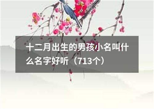 十二月出生的男孩小名叫什么名字好听（713个）