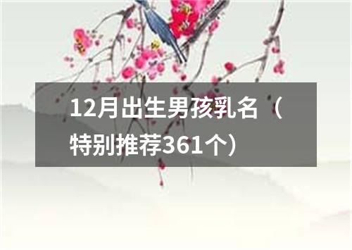 12月出生男孩乳名（特别推荐361个）