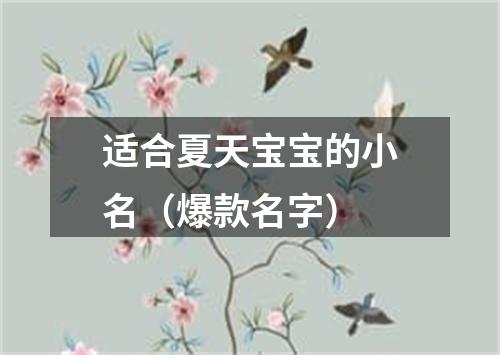 适合夏天宝宝的小名（爆款名字）