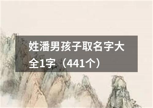 姓潘男孩子取名字大全1字（441个）