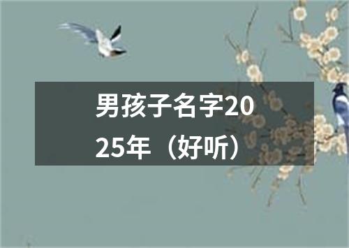 男孩子名字2025年（好听）