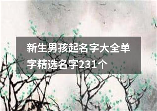 新生男孩起名字大全单字精选名字231个