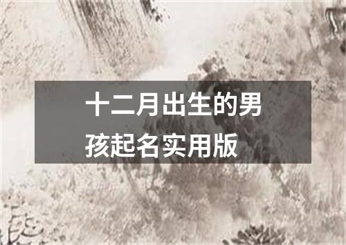 十二月出生的男孩起名实用版