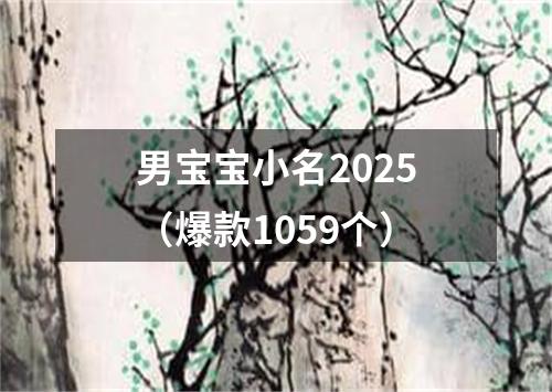 男宝宝小名2025（爆款1059个）