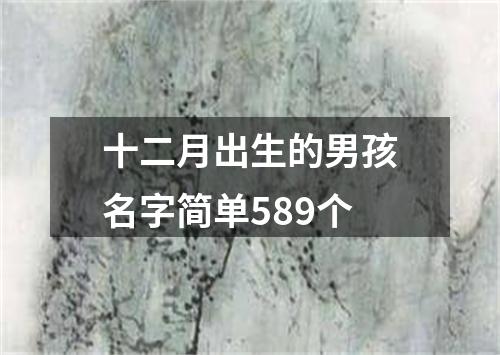 十二月出生的男孩名字简单589个