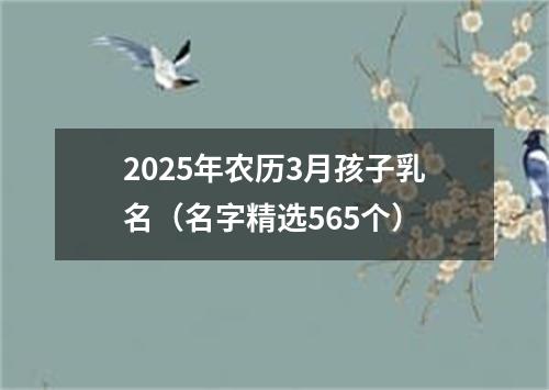 2025年农历3月孩子乳名（名字精选565个）