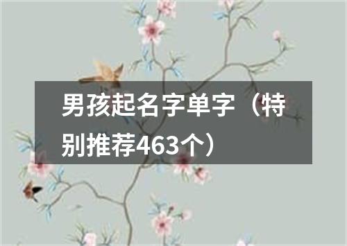 男孩起名字单字（特别推荐463个）