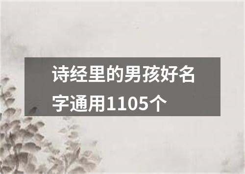 诗经里的男孩好名字通用1105个