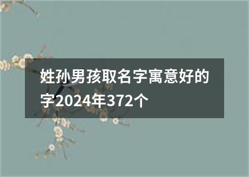 姓孙男孩取名字寓意好的字2024年372个