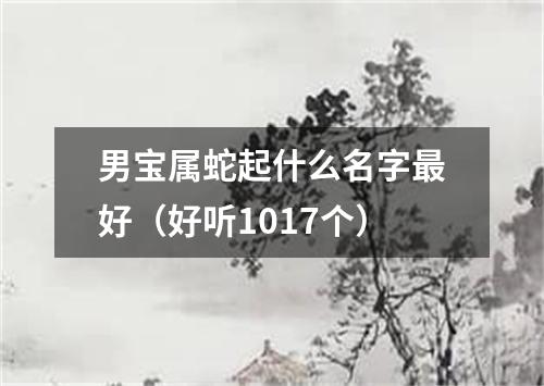 男宝属蛇起什么名字最好（好听1017个）