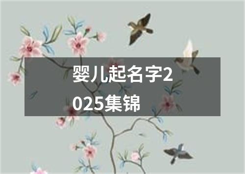 婴儿起名字2025集锦