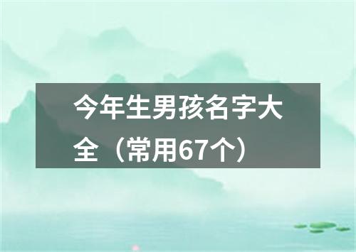 今年生男孩名字大全（常用67个）