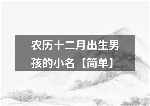 农历十二月出生男孩的小名【简单】