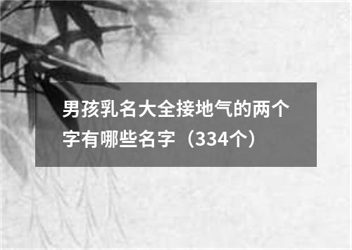 男孩乳名大全接地气的两个字有哪些名字（334个）