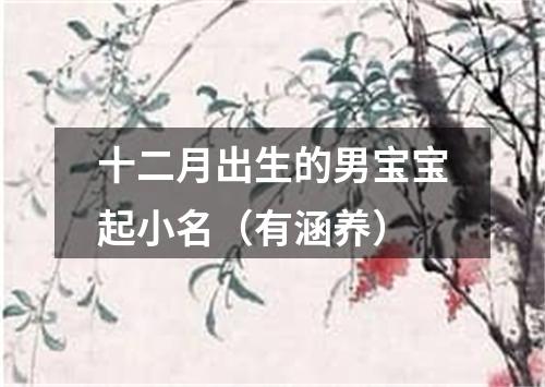 十二月出生的男宝宝起小名（有涵养）