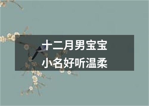 十二月男宝宝小名好听温柔