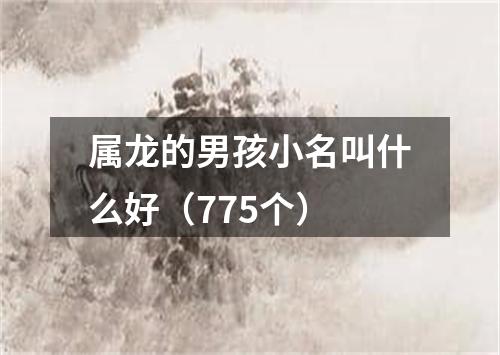 属龙的男孩小名叫什么好（775个）