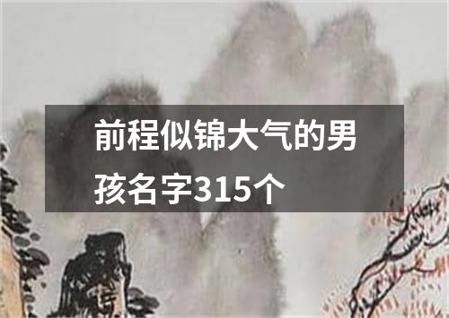 前程似锦大气的男孩名字315个