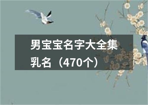 男宝宝名字大全集乳名（470个）