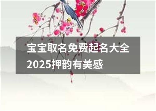 宝宝取名免费起名大全2025押韵有美感