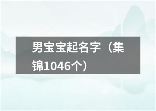 男宝宝起名字（集锦1046个）