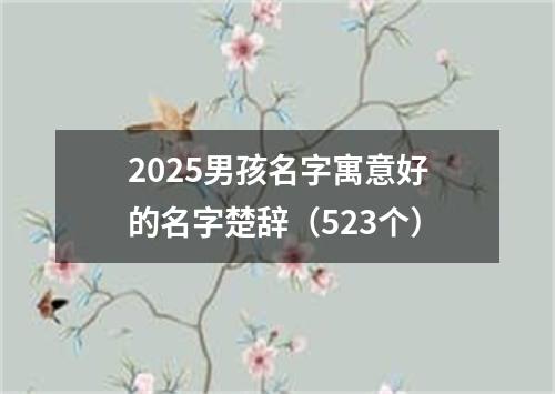 2025男孩名字寓意好的名字楚辞（523个）