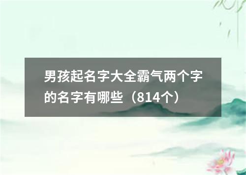 男孩起名字大全霸气两个字的名字有哪些（814个）