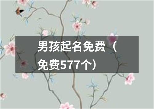 男孩起名免费（免费577个）