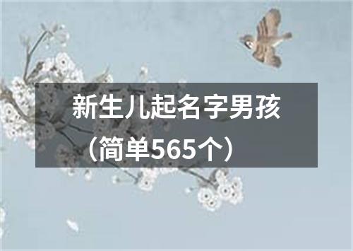 新生儿起名字男孩（简单565个）