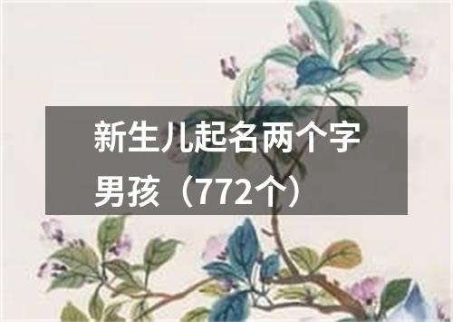 新生儿起名两个字男孩（772个）