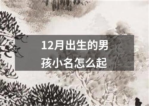 12月出生的男孩小名怎么起