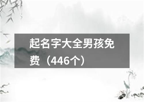 起名字大全男孩免费（446个）