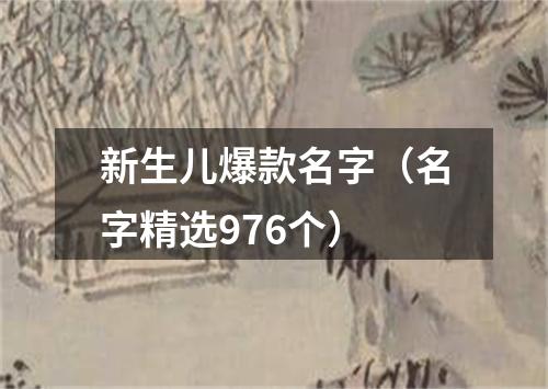 新生儿爆款名字（名字精选976个）