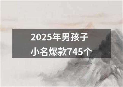 2025年男孩子小名爆款745个