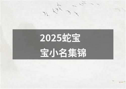 2025蛇宝宝小名集锦