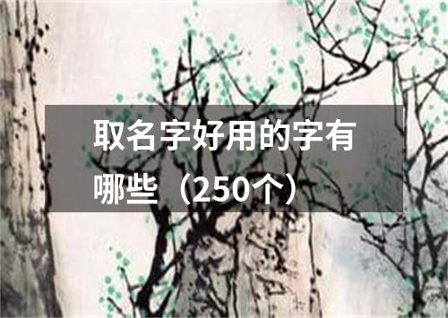 取名字好用的字有哪些（250个）