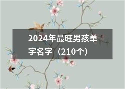 2024年最旺男孩单字名字（210个）