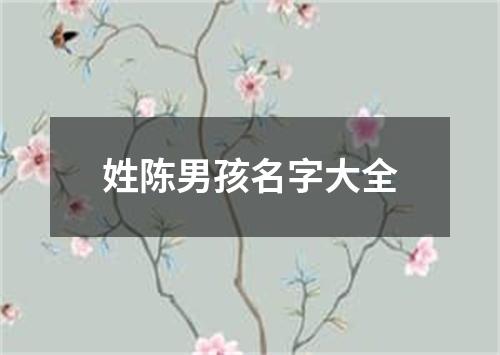 姓陈男孩名字大全