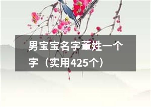 男宝宝名字董姓一个字（实用425个）