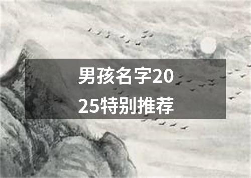 男孩名字2025特别推荐