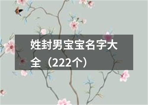 姓封男宝宝名字大全（222个）