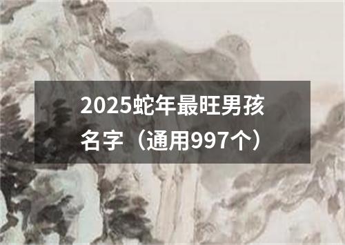 2025蛇年最旺男孩名字（通用997个）