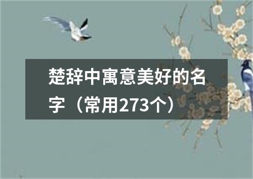 楚辞中寓意美好的名字（常用273个）