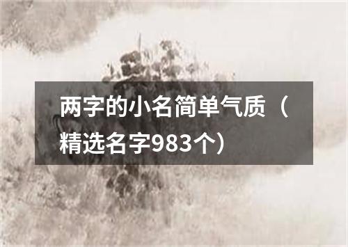 两字的小名简单气质（精选名字983个）