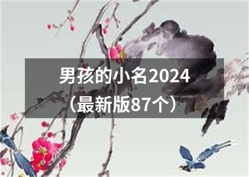 男孩的小名2024（最新版87个）