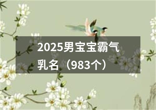 2025男宝宝霸气乳名（983个）