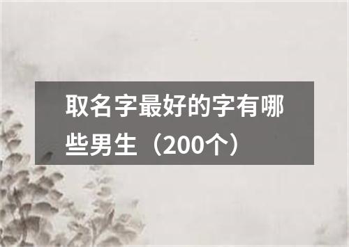 取名字最好的字有哪些男生（200个）